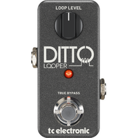 TC Electronic Ditto Looper