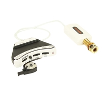 Double A2G Pickup with Microphone