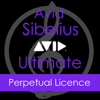 Avid Sibelius Ultimate Perpetual Licence