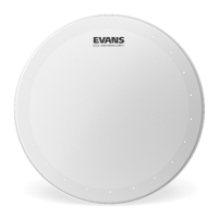 Evans 13" Genera Dry