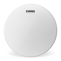 Evans 13" G2 Coated