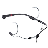 AKG C555L Headworn Cardioid Condenser Mic