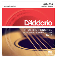 D'Addario EJ Acoustic Phosphor Bronze 13-56 EJ17
