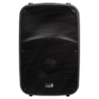 Italian Stage 15" Bi-Active Two Way Speaker