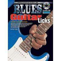 Progressive Guitar Blues Licks