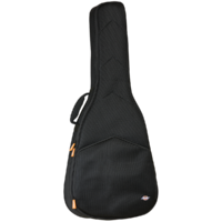 Original Coda Guitar Case Classical