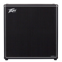 Peavey Invective 412