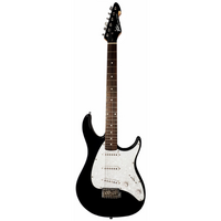 Peavey Raptor Custom Series Electric Guitar in Black (3SC)