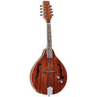 Tanglewood Mandolin Solid Mahogany Top with Pickup TWMTMHSTE