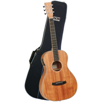 Tanglewood TWUPE Union Parlour Guitar Pack with DCM Premium Case
