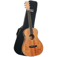 Tanglewood TWUPE Union Parlour Guitar Pack with DCM Premium Case