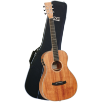 Tanglewood Union TWUPE-P Pack with DCM Premium Foam Case