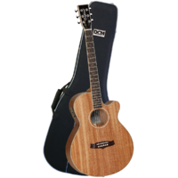 Tanglewood TWUSFCE Union Super Folk Pack with DCM Premium Case