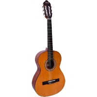 Valencia 200 Series Hybrid Guitar 3/4 Size