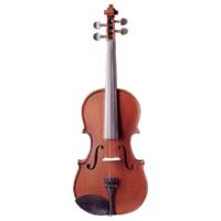 Vivo Neo Plus Student Violin 1/2 Size